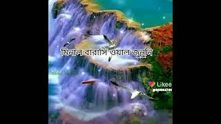 ছোট্ট সোনামনির মিষ্টি গজল হাসবি রাব্বি জাল্লাল্লাহ #likeesupermix#music video