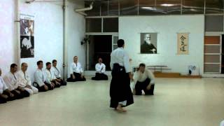 HD - Aikido - Technique - Yokomenuchi Kokyunage Variation