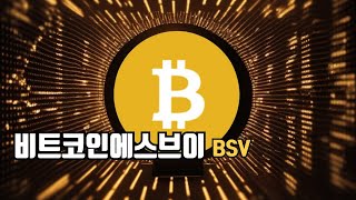 비트코인에스브이 코인 / BSV 코인 전망 닥투