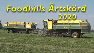 Foodhills Ärtskörd 2020