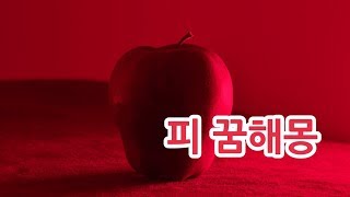 피 꿈해몽 모음 ,꿈에서 피가나면 대박꿈~??