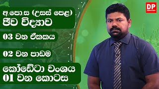 03 වන ඒකකය | 02  වන පාඩම - කෝඩේටා වංශය  -  01 වන කොටස | අ.පො.ස උසස් පෙළ ජීව විද්‍යාව