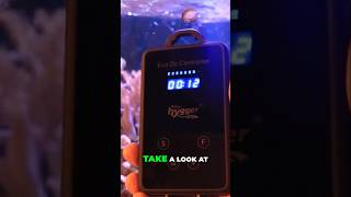 Easy Hygger Wavemaker Controller Setup For your Reef Tank!