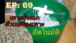 EP :69  การเพาะถั่วงอก ด้วยเครื่องเพาะอัตโนมัติ