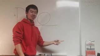 Physics 206 - The Loop De Loop Problem