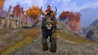 ESO Wilburn Lynx Mount Showcase - Gold Road Achievement