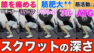 【スクワット】大殿筋が最も活動するしゃがむ深さ【科学的解説】