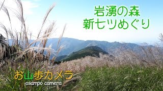 お山歩カメラ　岩湧山　岩湧の森新七ツ道めぐり（2017年夏登山）