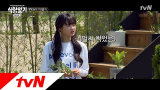 fooddiary 어느새 농작물이 이렇게나 자랐어요!! 180725 EP.8