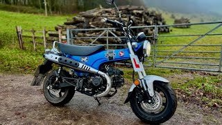 Honda ST125 Dax - POV - ASMR