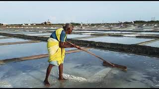 Salt Production in vedaraniyam நம் மண் நம் பெருமை