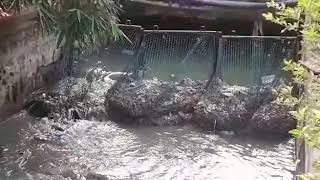 Trash Net in Drainage designed and installed by Cleanenvirons.com