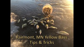 Fairmont, MN Yellow Bass tips and tricks so YOU can fill your buckets in a matter of hours!