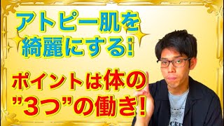 【アトピー】アトピー 肌を綺麗にするのは「体の3つの働き」を意識するべし！