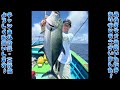 カンパチ・根魚スロージギング！浅場に潜む巨大魚？【小笠原諸島　母島】slow pitch deep jigging