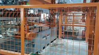 Fully Automated Production of Molded Pulp Packaging | Lvxin Packaging – Sustainable & Efficient