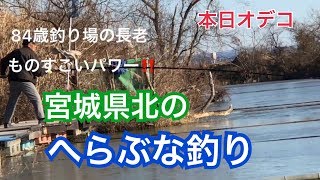 【へらぶな釣り】【厳寒期】寒冷地のへらぶな釣り小野寺農園TV