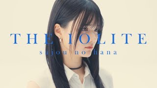 sajou no hana「THE IOLITE」（Music Video）