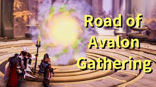 【Albion Online】Road of Avalon Gathering. 阿瓦隆採集時間!