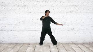 Taiji Exercise Drills: Grasping the Bird's Tail