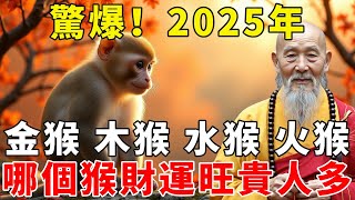 驚爆！2025年金猴、木猴、火猴、土猴運程大對比，哪個屬猴人財運旺、貴人多？【禪語明心】#生肖 #運勢 #風水 #財運  #生肖運勢 #生肖運程  #預言