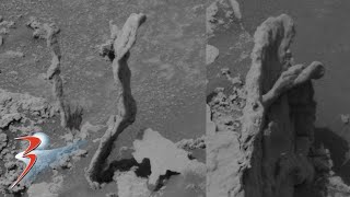 ROVER CURIOSITY | Could these be Fossils Photographed on Sol 3474?