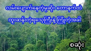 အမဲလိုက်ရင်း လမ်းပျောက်သွားတဲ့မုဆိုးအဖွဲ့ တောနက်ထဲ ထူးဆန်းတဲ့ ရသေ့ကြီး နှင့် ကြုံတဲ့နောက် - စဆုံး