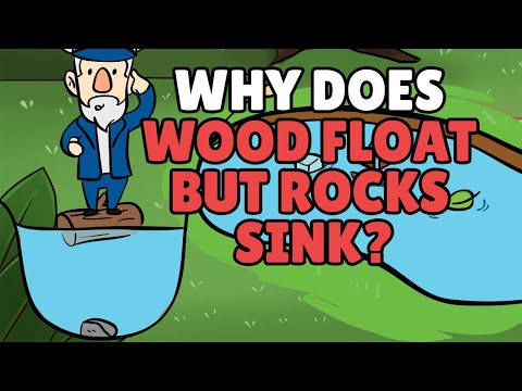 Can wood float on water?