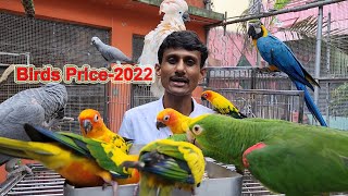 Exotic Birds Price 2022 In India / Don't Waste Your Hard Earned Money / Best Birds Best Price.