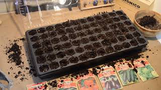 using the pro hex seed starting tray home stead garden ep 2