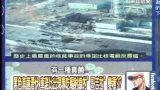 黑色真菌潛伏 車諾比出現專吃輻射線的「哥吉拉」變種？？ 20140603-06