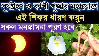 সূর্যগ্রহণ ও কালী পূজার মহাযোগে এই শিকর ধারণ করুন সকল মনস্কামনা পূরণ হবে | Solar Eclipse 2022