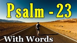 Psalm 23 Reading: Finding Peace in the Shepherd's Care (With words - KJV)