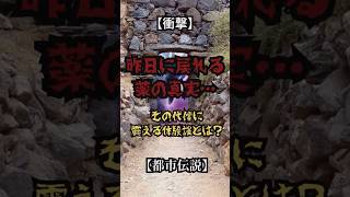 【衝撃】昨日に戻れる薬の真実…その代償に震える体験談とは？【都市伝説】#都市伝説#怖い#昨日に戻れる薬