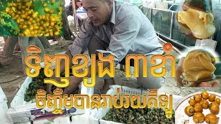 ទិញខ្យង៣ខាំ ចិញ្ចឹមបានរាប់រយគីឡូ