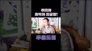 쥐띠와 만나기만 하면 싸우는 최악의 상극 띠 궁합 #shorts