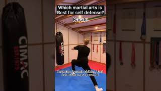 WHICH MARTIAL ART IS BEST FOR SELF DEFENSE?