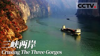 《三峡两岸》Crusing The Three Gorges 堪称人间仙境！三峡两岸风情值得泛舟细细领略 【CCTV纪录】