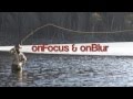 JavaScript onFocus & onBlur