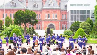 [4K] 八軒音頭保存会　YOSAKOIソーラン祭り 2023 日曜日