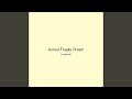 Aurora Fragile Dream
