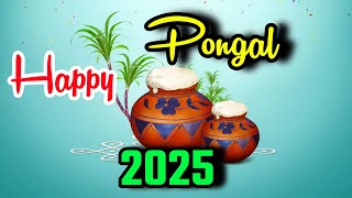 Happy Pongal 2025 | Pongal Whatsapp Status| Pongal Valthukkal 2025|Happy Sankranthi #happypongal2025