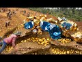 The Thrilling Discovery: A Man's Encounter with a Massive Gold Treasure