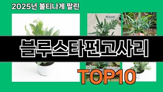 블루스타펀고사리 쿠팡에서 몰라서 못샀던 품절대란 꿀템 BEST 10