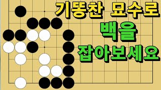 바둑 묘수 사활 - 기똥찬 묘수가 있습니다. 백을 잡아보세요.