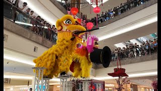 Pre-CNY 2025 - Acrobatic Southern \u0026 Northern Lion Dance by 龙狮情义 at The Gardens Mall