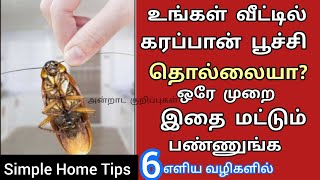 கரப்பான் பூச்சிகளை ஓட ஓட விரட்டலாம் Spray  தேவையில்லை| பொருட்களை வைத்து6 எளிய வழிகள் ஒரே பதிவில்