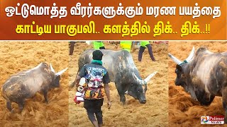 ஒட்டுமொத்த வீரர்களுக்கும் மரண பயத்தை காட்டிய பாகுபலி.. களத்தில் திக்..திக்..!! Palamedu Jallikattu