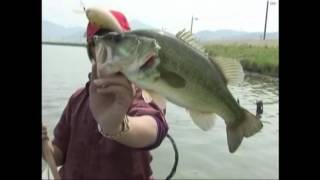 伊東由樹　「V-4BUZZ」　MEGABASS