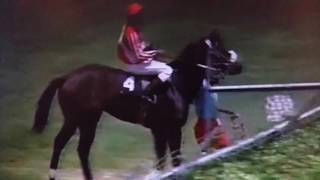 Afternoon  Delight wins with Noel Sammy in 1991